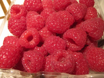 raspberry for berry pie recipe