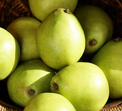 anjou pears for pie