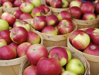 buckets of apples for pie