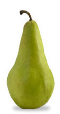 concorde pear for pies
