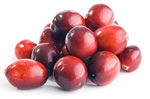 cranberries