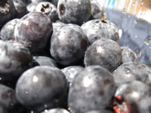 blueberry pie mini made with frozen blueberries