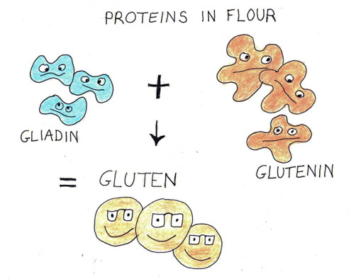 pie-crust-gluten-in-flour