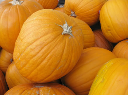 pumpkins in store