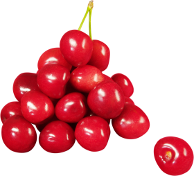 cherry montmorency